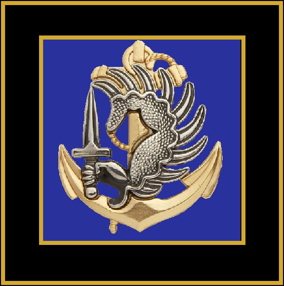 1st Legionnaire Division