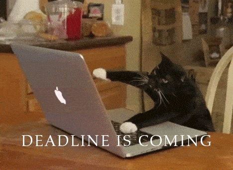 cat-deadline-is-coming-animated-gif.gif.18cf203d3d48f2da32d30f9b003833bf.gif