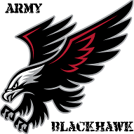 ArmyBlackHawk