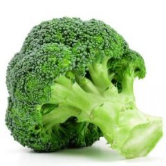 Broccoli00