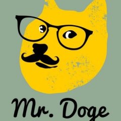 Mr Doge