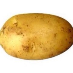 Minerob