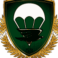 Fallschirmjaegerregiment 53